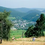 Appartement Bergzauber 2 Mit Meinecardplus Im Zentrum