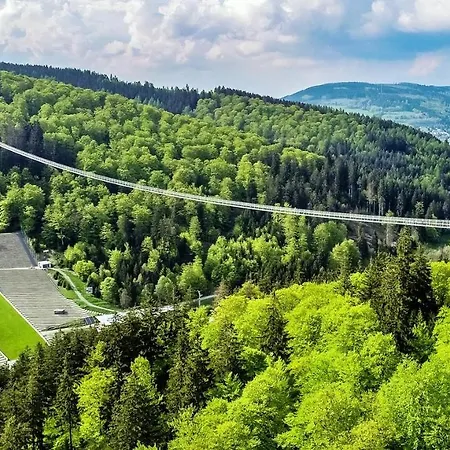 Bergzauber 2 Mit Meinecardplus Im Zentrum * Willingen (Upland)