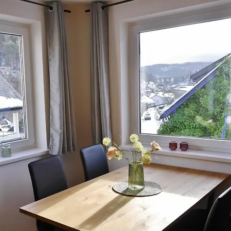 Appartement Bergzauber 2 Willingen (Upland)